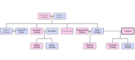 tina versace wikipedia|Versace family tree.